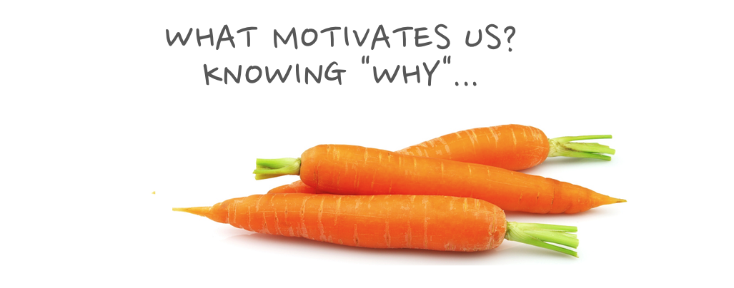 What-motivation-us-why-e1416947831238
