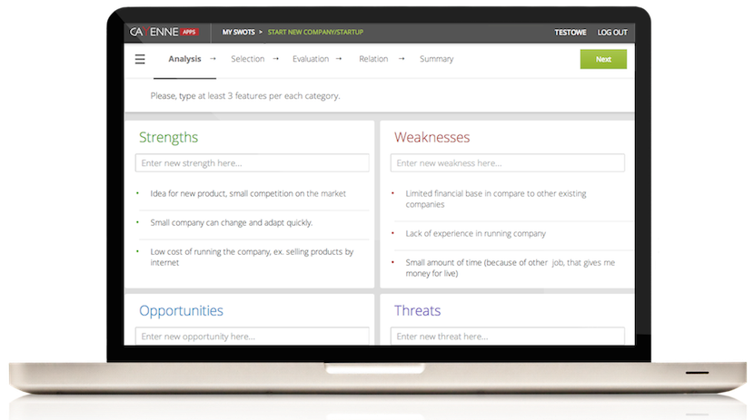 SWOT analysis, CayenneApps, decision making