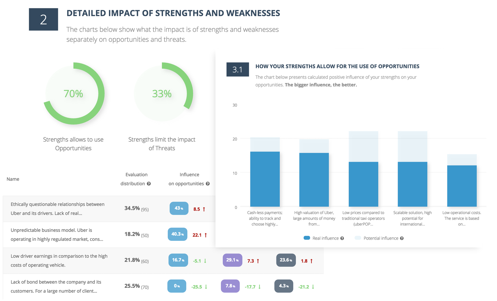 CayenneApps SWOT Summary Report